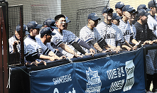 게시판 이미지 4