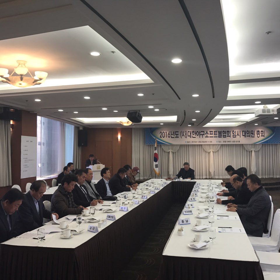 임시대의원 총회