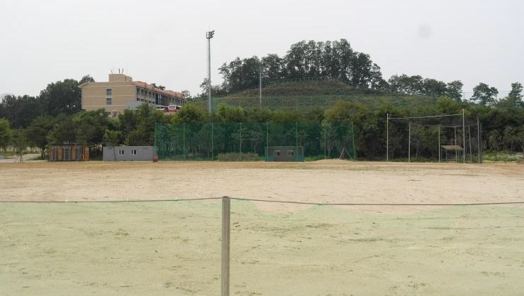 전용구장 이미지