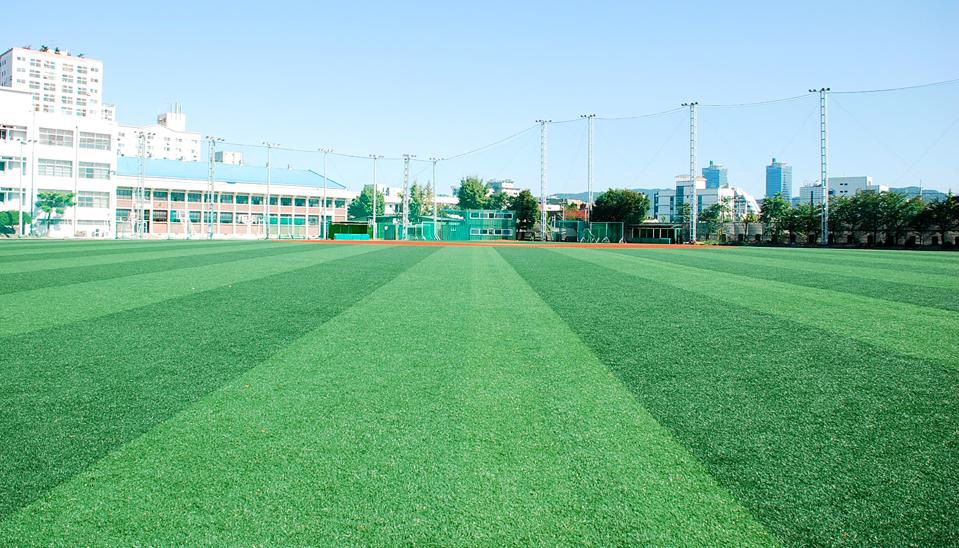 전용구장 이미지