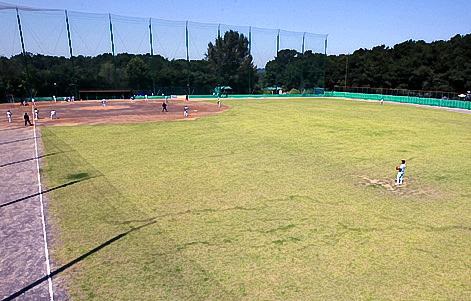 전용구장 이미지