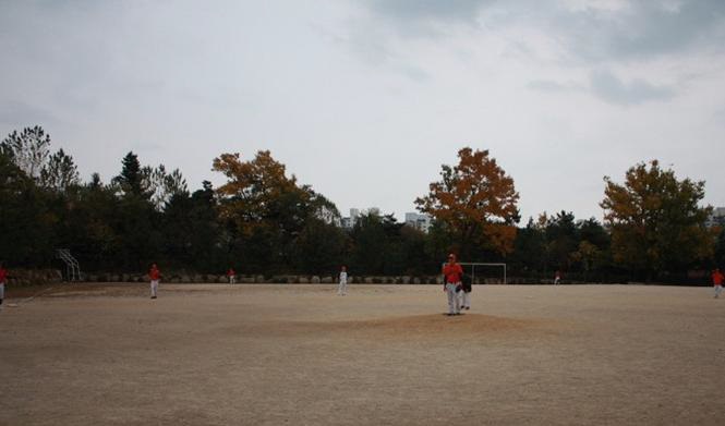 전용구장 이미지